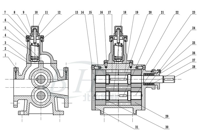 YCB20-0.6圆弧齿轮泵头装配图
